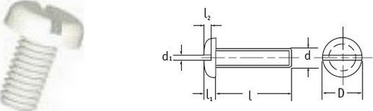 Slotted Pan Head Screws